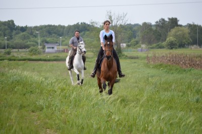 jhati, jšm 